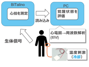 電子システム工学科 中間発表 on Sep 2-3, 2021. – Cooperative Robotics Lab.